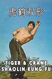Tiger and Crane Shaolin Kung Fu poster