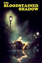 The Bloodstained Shadow poster