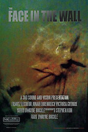 The Face In The Wall poster