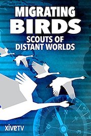 Migrating Birds: Scouts of Distant Worlds
