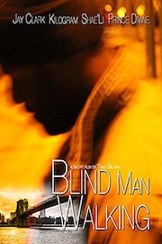 Blind Man Walking poster