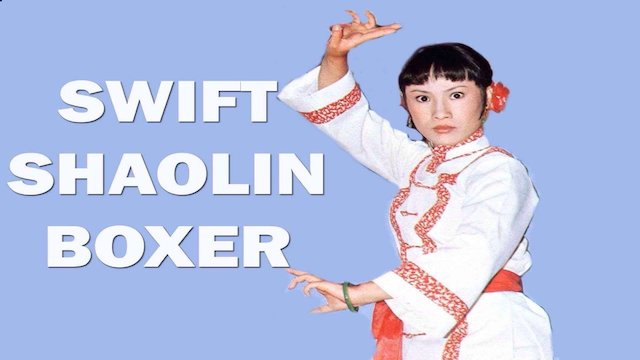 Watch Swift Shaolin Boxer Online