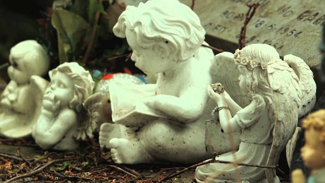 Watch One Million Dubliners Online