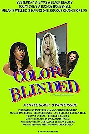 Color Blinded poster