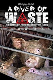 A River of Waste poster