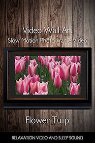 Video Wall Art Slow Motion Flower Tulip Photo Frame Video Relaxation Video and Sleep Sound