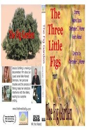 The Fig Garden poster