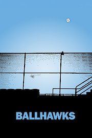 Ballhawks poster