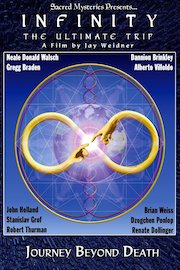 Infinity: The Ultimate Trip poster