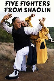 5 Fighters From Shaolin poster
