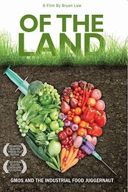 Of The Land poster