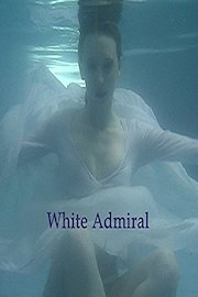 White Admiral poster