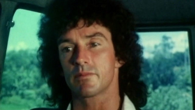 Watch The Stabilizer Online