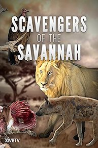Scavengers of the Savannah