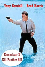 Kommissar X Kill Panther Kill poster