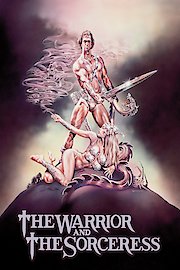The Warrior and the Sorceress poster