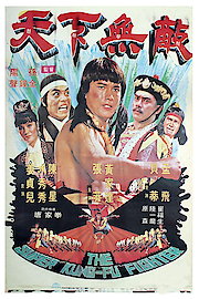 Super Kung Fu Fighter poster