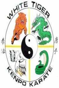 Kenpo Ground Fighting Volume 2