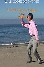 Wild Goose Qigong VIII - Five Elements and Bagua with Dr. Hu poster