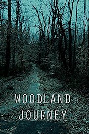 Woodland Journey poster