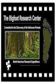 In Pursuit of the Olympic Rainforest Sasquatch