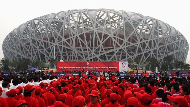 Watch Bird's Nest Online