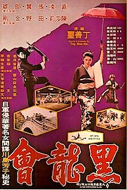Lady Karate poster