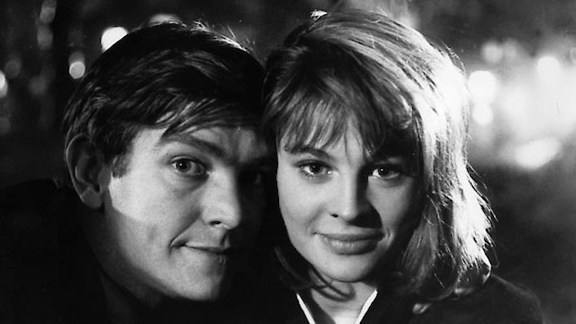 Watch Billy Liar Online