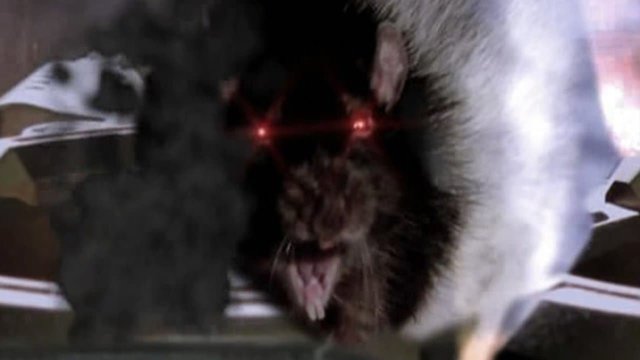 Watch Rat Scratch Fever Online