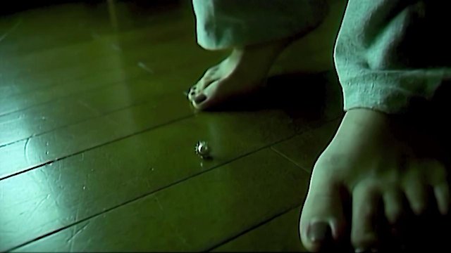 Watch The Doll House Online