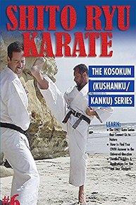 Shito Ryu Karate #6