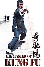 The Master Of Kung Fu poster
