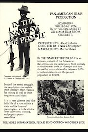 In the Name of the People poster
