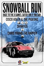 Snowball Run poster