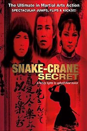 Snake In The Ghosts Shadow poster