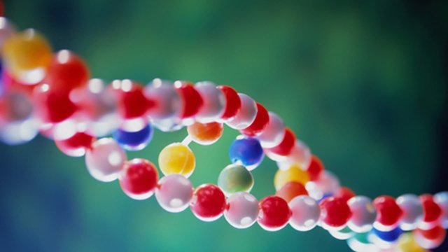 Watch Human Family Tree Online