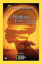 Human Family Tree poster
