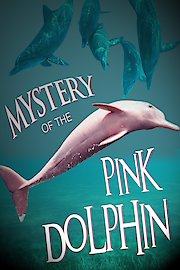 Mystery of the Pink Dolphin