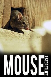 Mouse: A Secret Life poster