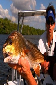 Addictive Fishing - Cork Poppin' Daddy