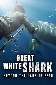 Great White Shark: Beyond the Cage of Fear