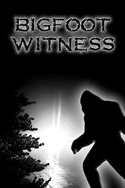 Bigfoot Witness poster