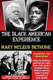 Mary Mcleod Bethune - African Americans Who Left Their Stamp on History poster