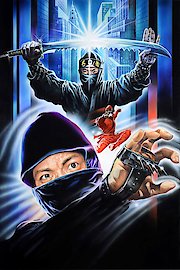 Ninja Champion poster