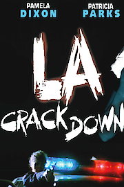 L.A. Crackdown poster