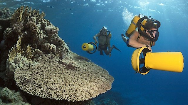 Watch Jacques Cousteau's Legacy Online