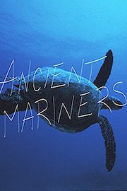 Ancient Mariners: The Sea Turtle Story poster