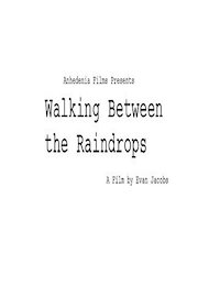 Walking Between the Raindrops poster