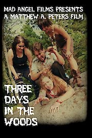 Three Days in the Woods poster