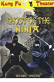 Shadow Ninja poster